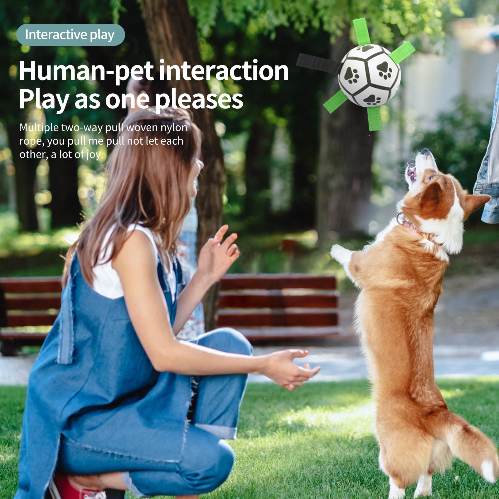 Pallone da Calcio Interattivo per Cani - Palla Gonfiabile da Allenamento per Cani da Esterno Border Collie Accessori per Animali